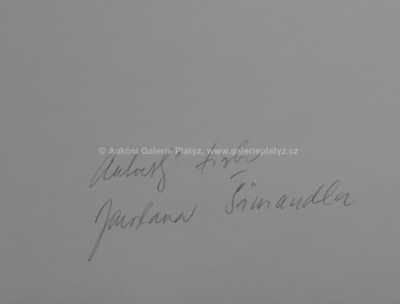  / Konvolut dvou kusů / Jaroslav Šimandl