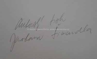  / Konvolut dvou kusů / Jaroslav Šimandl