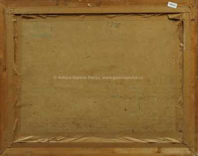  / Zimní krajina /  Nečitelná signatura