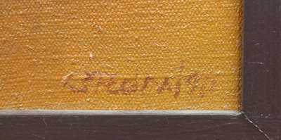  / Z ptačí perspektivy / Jaroslav Štědra