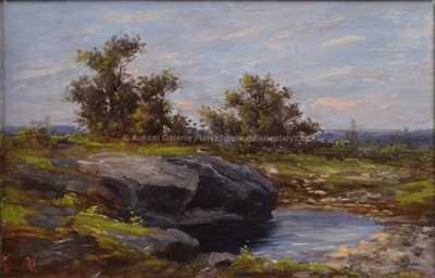  / Tůňka pod skalou / Viktor Oliva