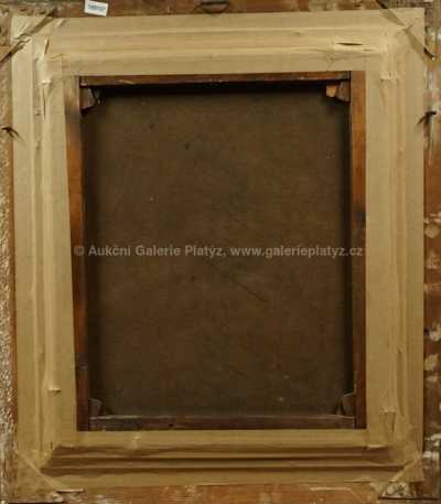  / Portrét dámy / Josef Mathauser