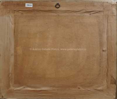  / Taomíra / Jan Slavíček