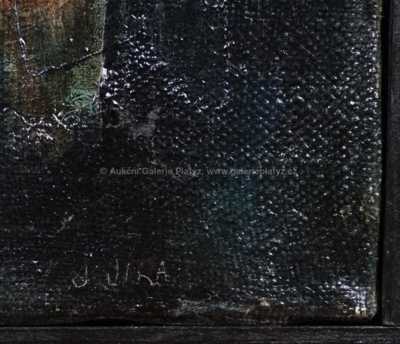  / Muž a pstruzi / Josef Jíra