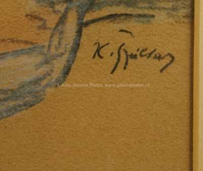  / Toaleta / Karel Špillar