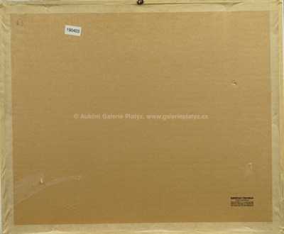  / Rozhovor / Lev Šimák