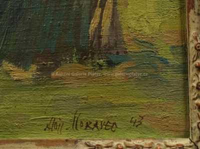  / Průhled alejí / Alois Moravec