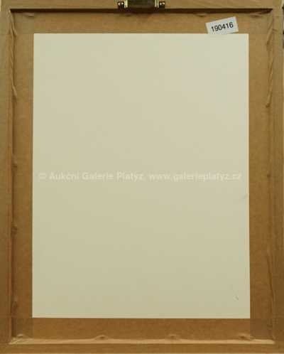  / Hlava / Josef Liesler