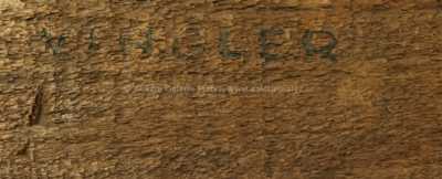  / Antilopa / Vincenc Vingler