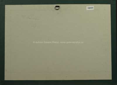  / Motiv z Benátek / Adolf Born