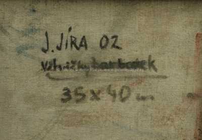  / Větvičky barborek / Josef Jíra