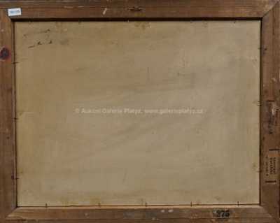  / Pohled z hor / Jaroslav Panuška