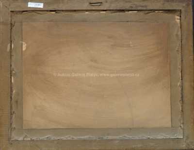  / Roubenky / Karel Schadt