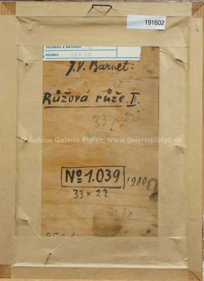  / Růžová růže / Josef Václav Směšný - Barnet