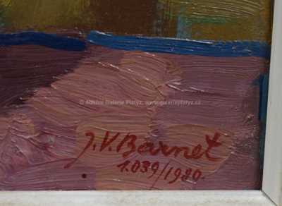  / Růžová růže / Josef Václav Směšný - Barnet