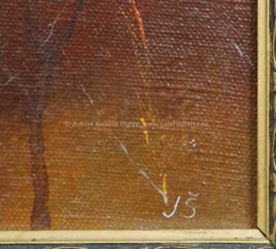  / Pavučiny v travách /  Monogram