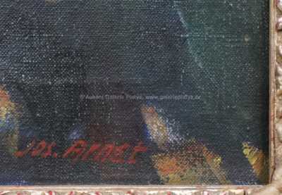 / Jiřiny / Josef Arnet