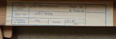  / Ležící figura / Jiří Procházka