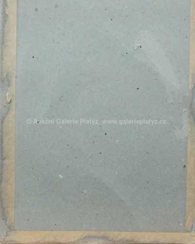  / U lesa / Josef Jambor