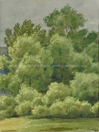  / U lesa / Josef Jambor