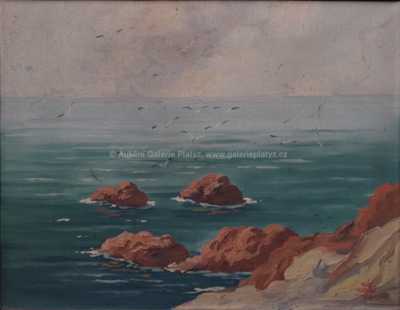  / Rackové na pobřeží / S. G.  Maran