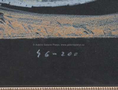  / Zátiší / Arnošt Paderlík