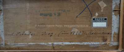  / Kosmonosy / Karel Liebscher