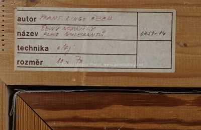  / Nepřišly ženy / František Ringo Čech