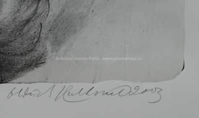  / Pád No. 1 / Oldřich Kulhánek