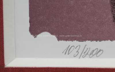  / Flétnista / Vladimír Komárek