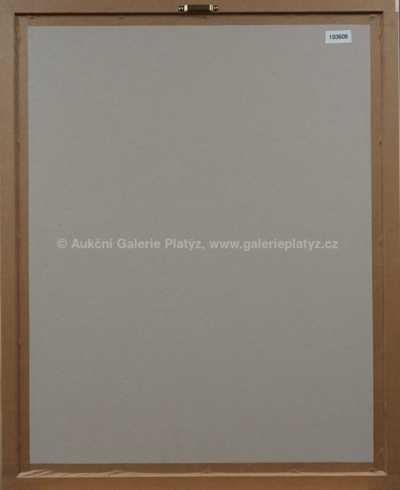  / Bez názvu / Josef Liesler