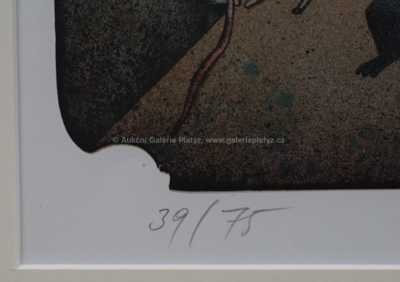  / Kouzelník / Adolf Born