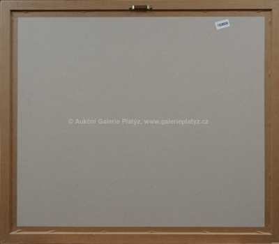  / Kouzelník / Adolf Born