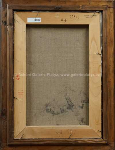  / Hlava divočáka / Zdeněk Burian