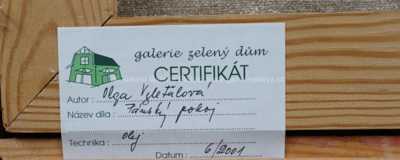  / Pánský pokoj / Olga Vyleťalová - Poláčková