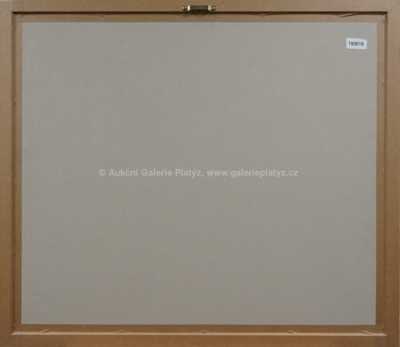  / Bitva / Adolf Born