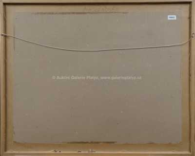  / Běžec / Jiří Načeradský