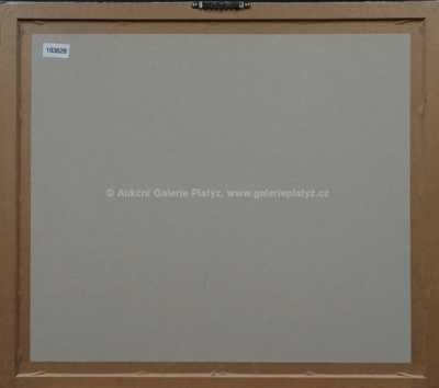  / U koštýře / Josef Jíra