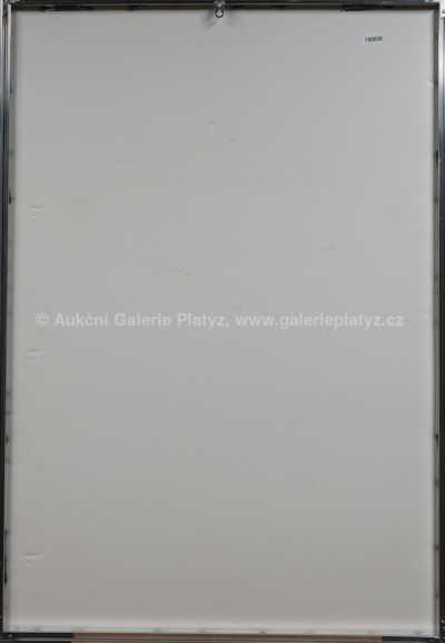  / Akt dívky / Jan  Smetana