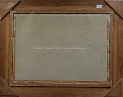  / Pohled na pražské střechy / Stanislav Feikl