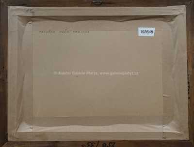  / Pod Vyšehradskou skálou / Jaroslav Panuška