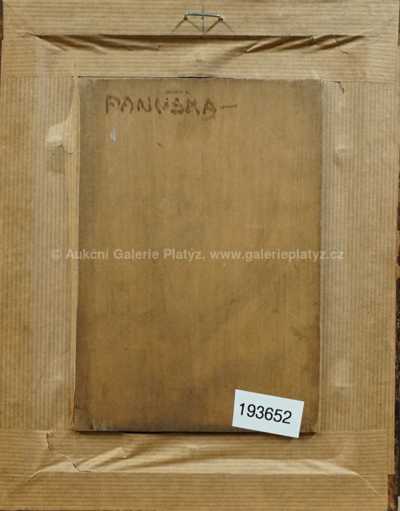  / Akt / Jaroslav Panuška