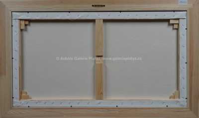  / Maratonci obtěžují v Praze / František Ringo Čech