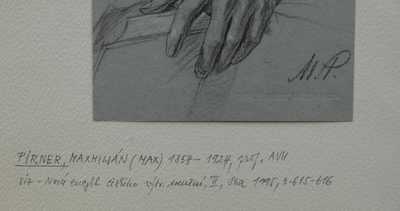  / Studie rukou / Maxmilian Pirner