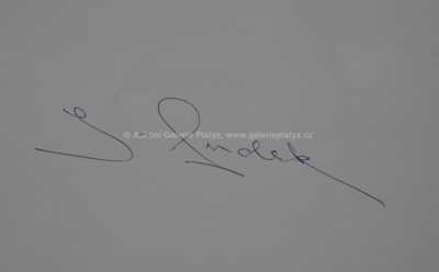  / Zátiší s lahví a melounem / Josef Sudek