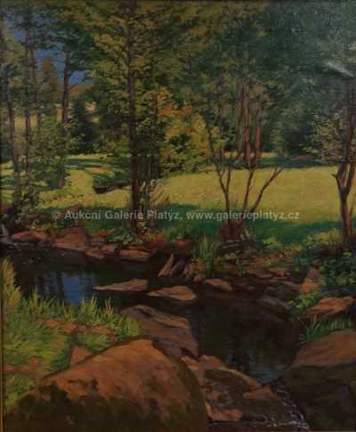  / Pstruhový potok / Bohumil Hradečný