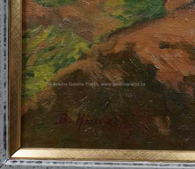  / Pstruhový potok / Bohumil Hradečný