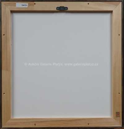  / Pražský hrad / Jaromír Stretti - Zamponi