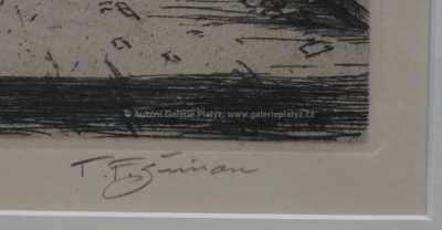  / Z Karlova mostu / František Tavík Šimon