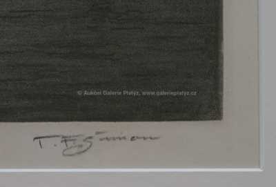  / Notre Dame / František Tavík Šimon